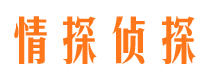 戚墅堰市婚外情调查